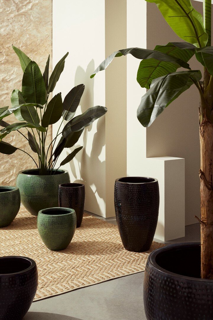 SET2 MACETERO NIRAD ALTO NEGRO