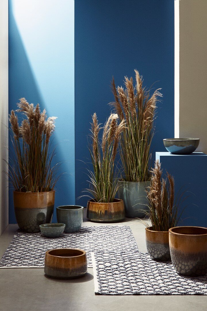 SET3 MACETERO QUANG ALTO AZUL